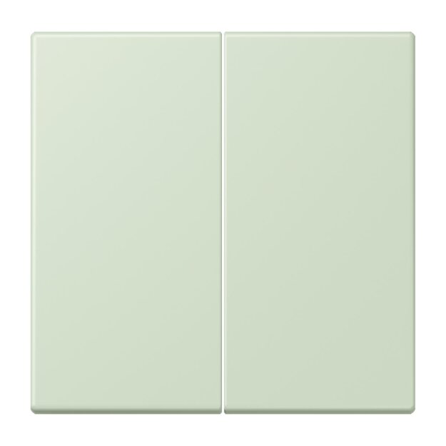 Jung LC1702218 LB-Management Taster 2-fach LC32042 (Duroplast lackiert) Vert Anglâis Pale Les Couleurs® Le Corbusier