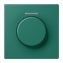 Jung LC1940KO5216 Abdeckung mit Lichtleiter für KNX...
