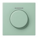 Jung LC1940KO5217 Abdeckung mit Lichtleiter für KNX...