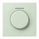 Jung LC1940KO5218 Abdeckung mit Lichtleiter für KNX...