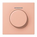 Jung LC1940KO5231 Abdeckung mit Lichtleiter für KNX...