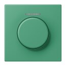 Jung LC1940KO5250 Abdeckung mit Lichtleiter für KNX...