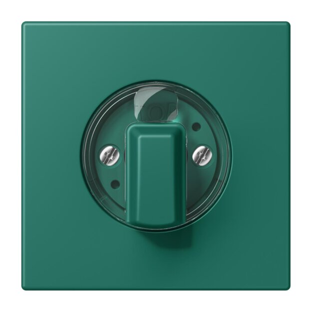 Jung LC1941216 Abdeckung für Drehschalter LC32040 (Duroplast lackiert) Vert Anglais Les Couleurs® Le Corbusier