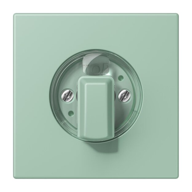 Jung LC1941217 Abdeckung für Drehschalter LC32041 (Duroplast lackiert) Vert Anglais Clair Les Couleurs® Le Corbusier