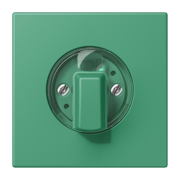 Jung LC1941250 Abdeckung für Drehschalter LC4320G (Duroplast lackiert) Vert 59 Les Couleurs® Le Corbusier