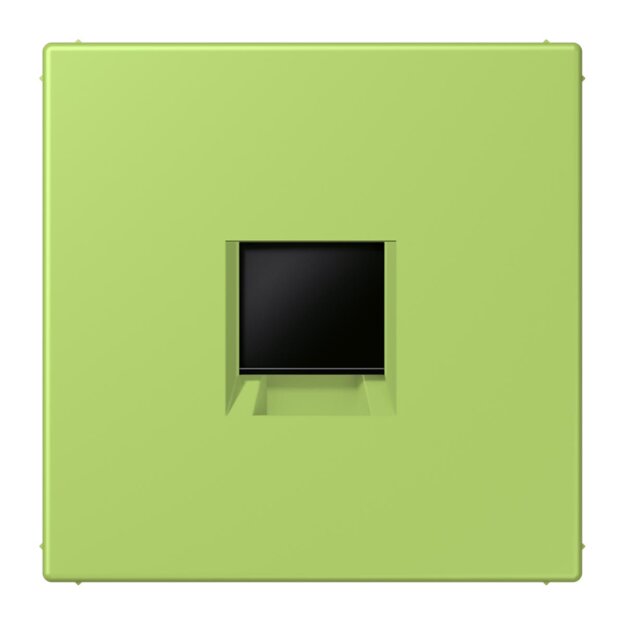 Jung LC1969-1WE221 Abdeckung (gerastet) für Modular-Jack-Steckbuchsen 1-fach (AMP, Radiall) (Thermoplast lackiert) Vert Clair Les Couleurs® Le Corbusier