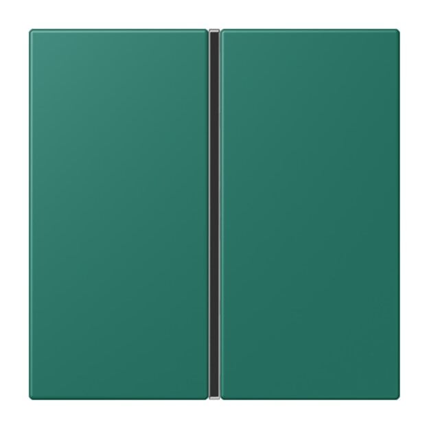 Jung LC401TSA216 Tastensatz komplett 1-fach LC32040 Vert Anglais Les Couleurs® Le Corbusier