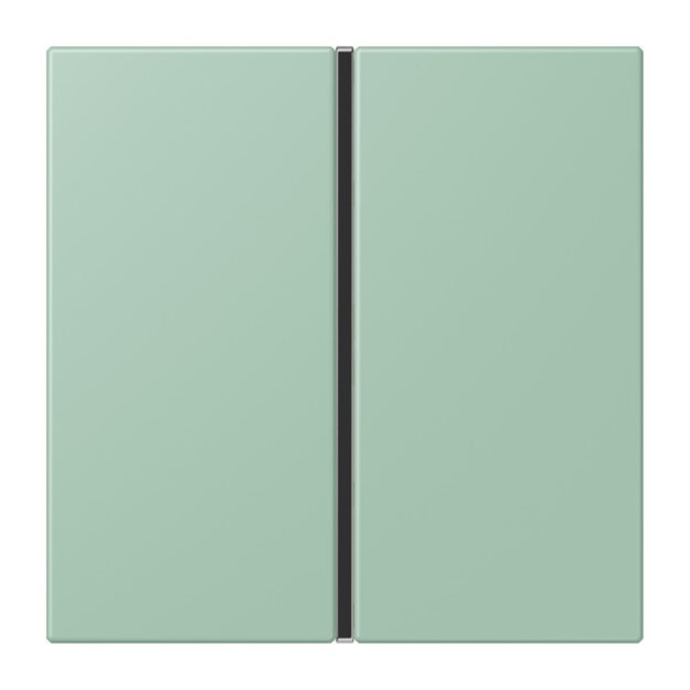 Jung LC401TSA217 Tastensatz komplett 1-fach LC32041 Vert Anglais Clair Les Couleurs® Le Corbusier