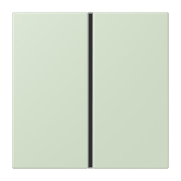 Jung LC401TSA218 Tastensatz komplett 1-fach LC32042 Vert Anglâis Pale Les Couleurs® Le Corbusier