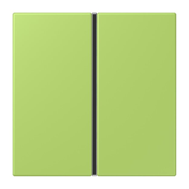 Jung LC401TSA221 Tastensatz komplett 1-fach LC32052 Vert Clair Les Couleurs® Le Corbusier