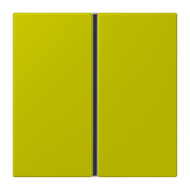 Jung LC401TSA249 Tastensatz komplett 1-fach LC4320F Vert Olive Vif Les Couleurs® Le Corbusier