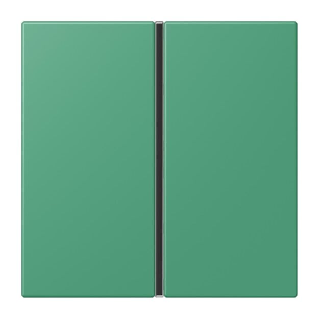 Jung LC401TSA250 Tastensatz komplett 1-fach LC4320G Vert 59 Les Couleurs® Le Corbusier