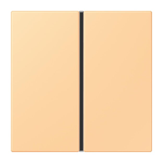 Jung LC401TSA258 Tastensatz komplett 1-fach LC4320P Terre Sienne Claire 59 Les Couleurs® Le Corbusier