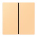 Jung LC401TSA258 Tastensatz komplett 1-fach LC4320P Terre...