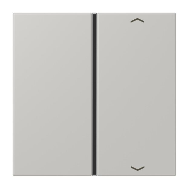 Jung LC401TSAP205 Taste 1-fach F40 LC32013 (Thermoplast) Gris Clair 31 Les Couleurs® Le Corbusier
