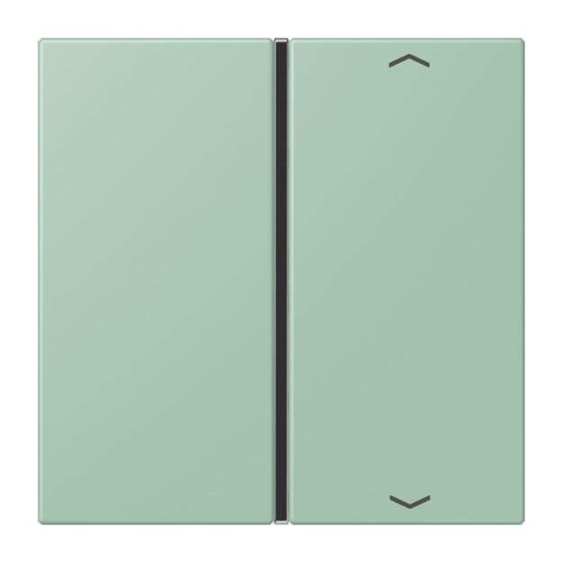 Jung LC401TSAP217 Taste 1-fach F40 LC32041 (Thermoplast) Vert Anglais Clair Les Couleurs® Le Corbusier