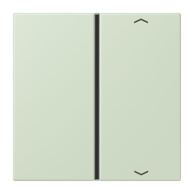 Jung LC401TSAP218 Taste 1-fach F40 LC32042 (Thermoplast) Vert Anglâis Pale Les Couleurs® Le Corbusier