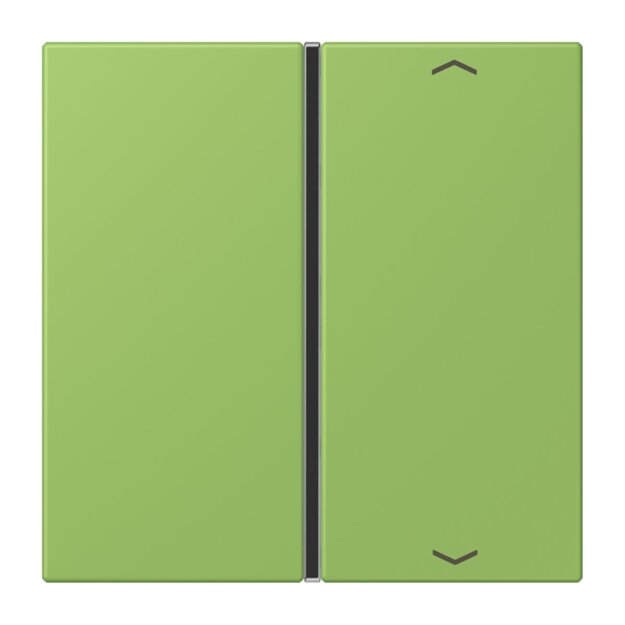 Jung LC401TSAP220 Taste 1-fach F40 LC32051 (Thermoplast) Vert 31 Les Couleurs® Le Corbusier