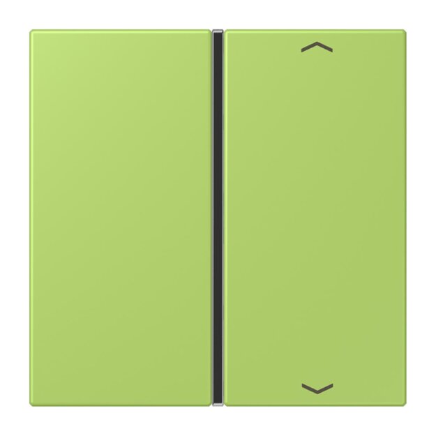 Jung LC401TSAP221 Taste 1-fach F40 LC32052 (Thermoplast) Vert Clair Les Couleurs® Le Corbusier