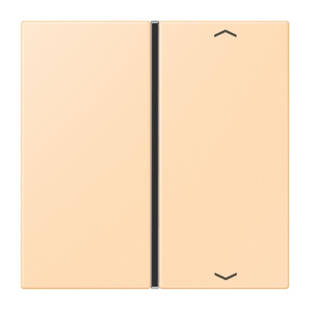 Jung LC401TSAP223 Taste 1-fach F40 LC32060 (Thermoplast) Ocre Les Couleurs® Le Corbusier