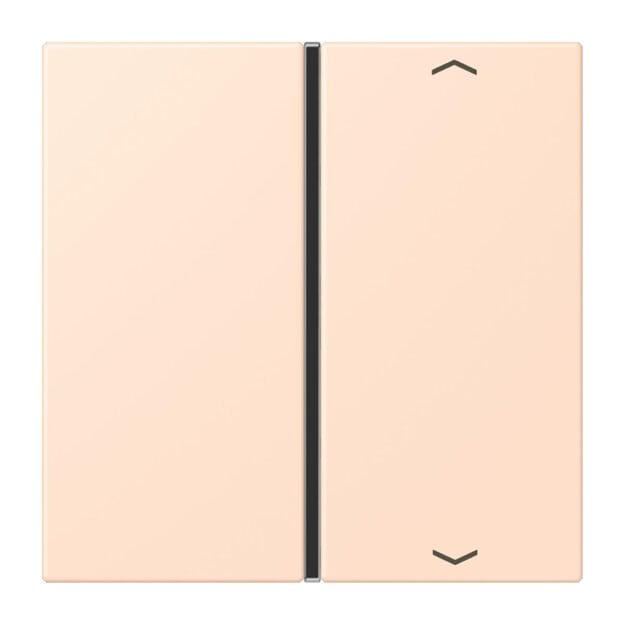 Jung LC401TSAP228 Taste 1-fach F40 LC32091 (Thermoplast) Rose Pâle Les Couleurs® Le Corbusier