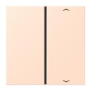 Jung LC401TSAP228 Taste 1-fach F40 LC32091 (Thermoplast)...