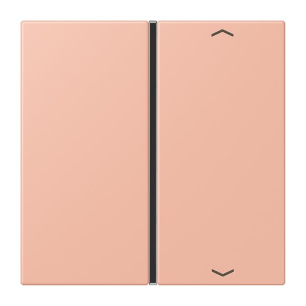 Jung LC401TSAP231 Taste 1-fach F40 LC32102 (Thermoplast) Rose Clair Les Couleurs® Le Corbusier