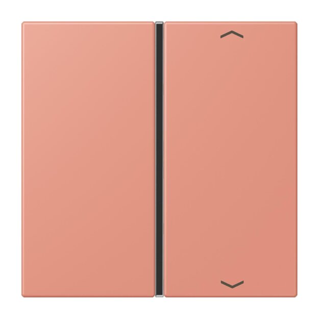 Jung LC401TSAP233 Taste 1-fach F40 LC32111 (Thermoplast) LOcre Rouge Moyen Les Couleurs® Le Corbusier