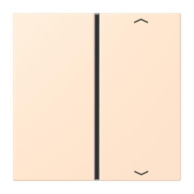 Jung LC401TSAP238 Taste 1-fach F40 LC32123 (Thermoplast) Terre Sienne Pâle Les Couleurs® Le Corbusier