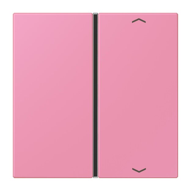 Jung LC401TSAP246 Taste 1-fach F40 LC4320C (Thermoplast) Rose Vif Les Couleurs® Le Corbusier