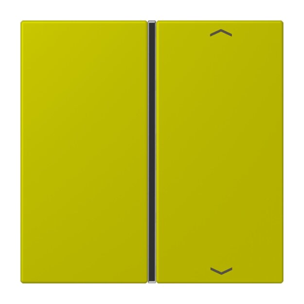 Jung LC401TSAP249 Taste 1-fach F40 LC4320F (Thermoplast) Vert Olive Vif Les Couleurs® Le Corbusier