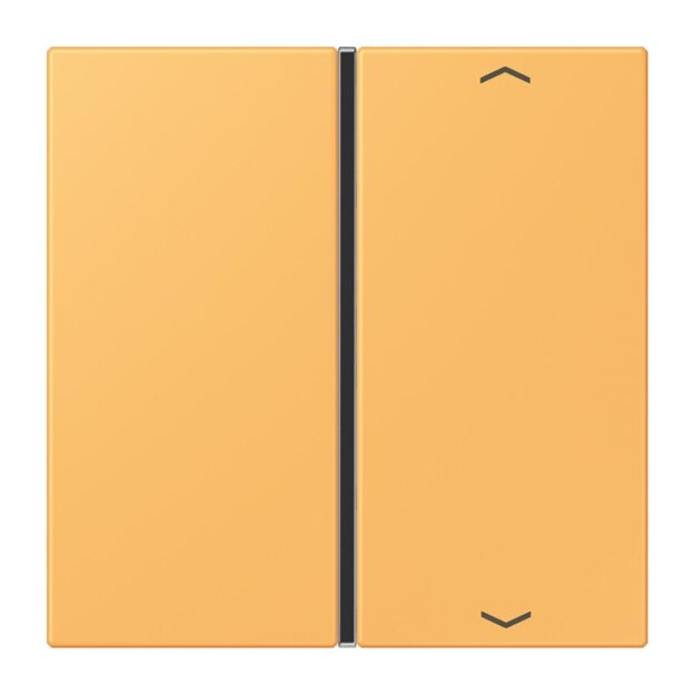 Jung LC401TSAP254 Taste 1-fach F40 LC4320L (Thermoplast) Ocre Jaune Clair Les Couleurs® Le Corbusier