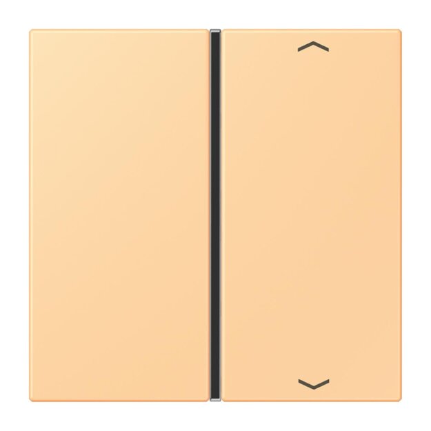 Jung LC401TSAP258 Taste 1-fach F40 LC4320P (Thermoplast) Terre Sienne Claire 59 Les Couleurs® Le Corbusier