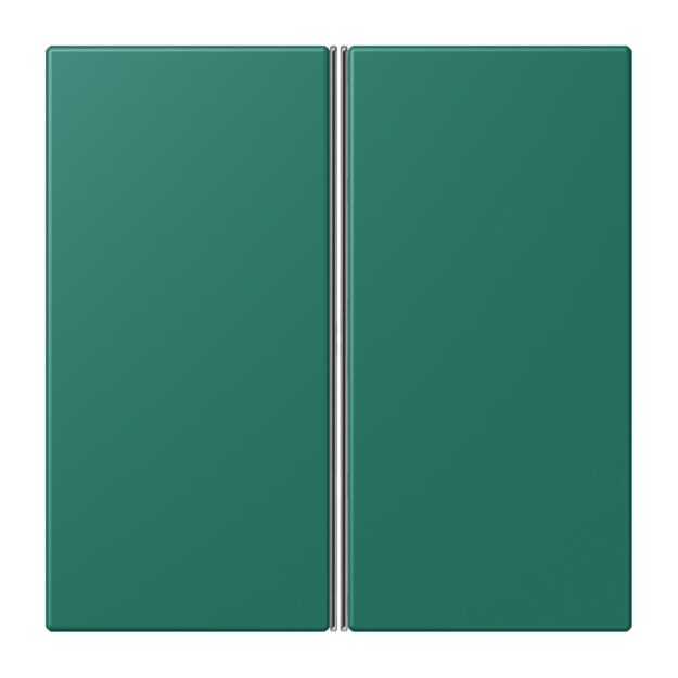 Jung LC402TSA216 Tastensatz 2-fach F40 LC32040 Vert Anglais Les Couleurs® Le Corbusier