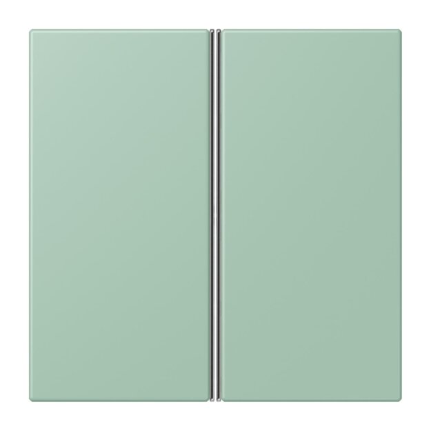 Jung LC402TSA217 Tastensatz 2-fach F40 LC32041 Vert Anglais Clair Les Couleurs® Le Corbusier
