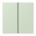 Jung LC402TSA218 Tastensatz 2-fach F40 LC32042 Vert Anglâis Pale Les Couleurs® Le Corbusier