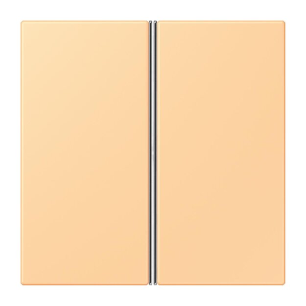 Jung LC402TSA258 Tastensatz 2-fach F40 LC4320P Terre Sienne Claire 59 Les Couleurs® Le Corbusier