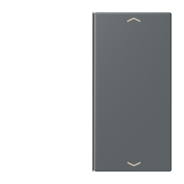 Jung LC402TSAP202 Taste 2-fach F40 LC32010 (Thermoplast) Gris Foncé 31 Les Couleurs® Le Corbusier