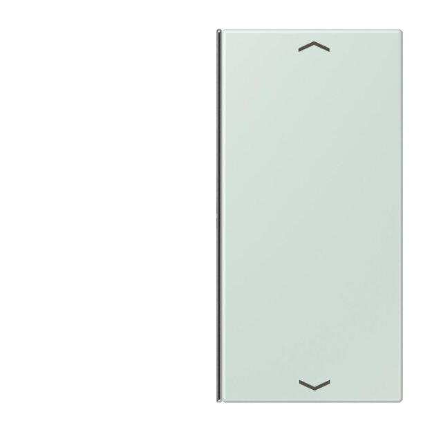 Jung LC402TSAP215 Taste 2-fach F40 LC32034 (Thermoplast) Céruléen Pale Les Couleurs® Le Corbusier
