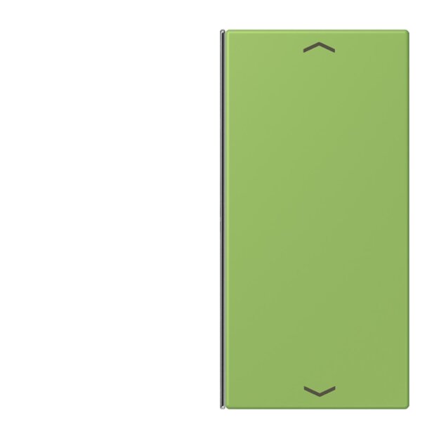 Jung LC402TSAP220 Taste 2-fach F40 LC32051 (Thermoplast) Vert 31 Les Couleurs® Le Corbusier