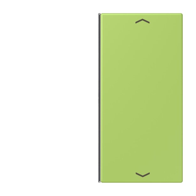 Jung LC402TSAP221 Taste 2-fach F40 LC32052 (Thermoplast) Vert Clair Les Couleurs® Le Corbusier
