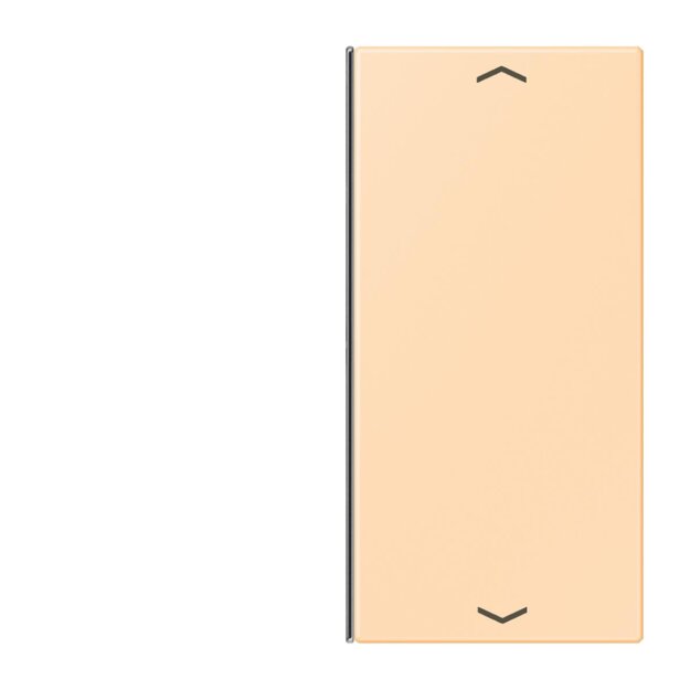 Jung LC402TSAP223 Taste 2-fach F40 LC32060 (Thermoplast) Ocre Les Couleurs® Le Corbusier
