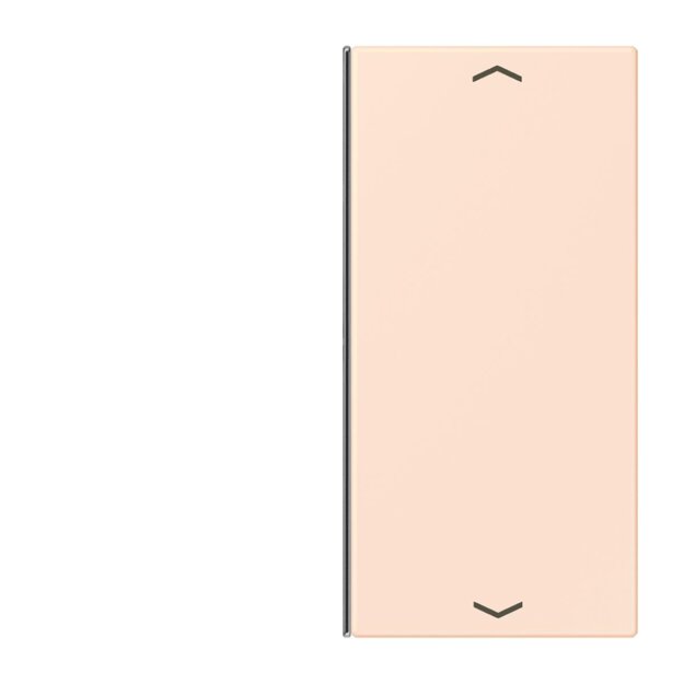 Jung LC402TSAP226 Taste 2-fach F40 LC32082 (Thermoplast) Orange Pâle Les Couleurs® Le Corbusier