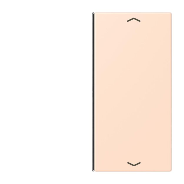 Jung LC402TSAP228 Taste 2-fach F40 LC32091 (Thermoplast) Rose Pâle Les Couleurs® Le Corbusier