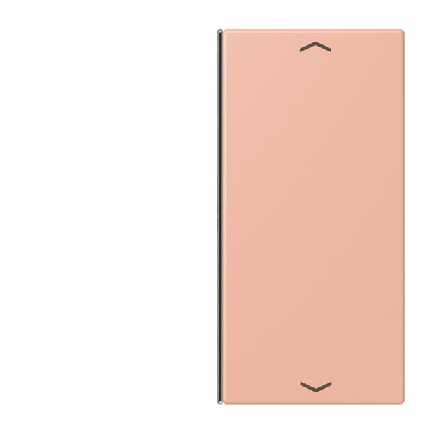 Jung LC402TSAP231 Taste 2-fach F40 LC32102 (Thermoplast) Rose Clair Les Couleurs® Le Corbusier
