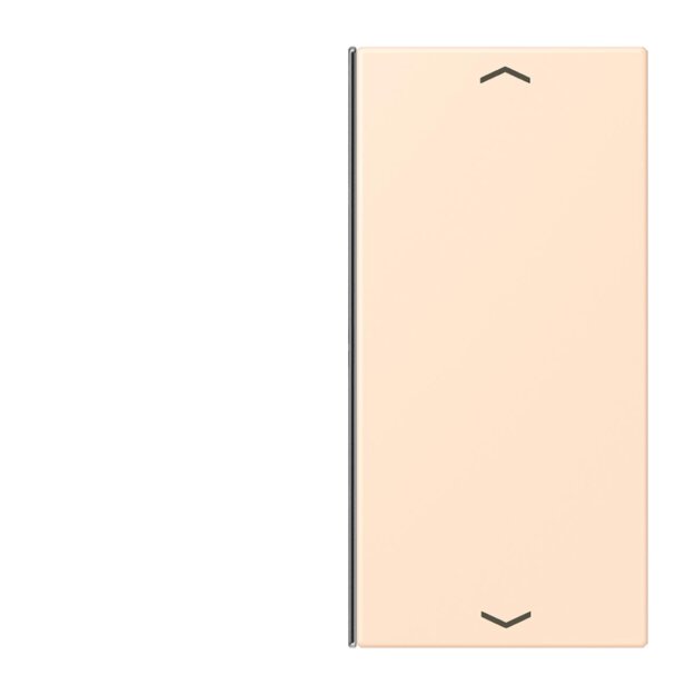 Jung LC402TSAP238 Taste 2-fach F40 LC32123 (Thermoplast) Terre Sienne Pâle Les Couleurs® Le Corbusier