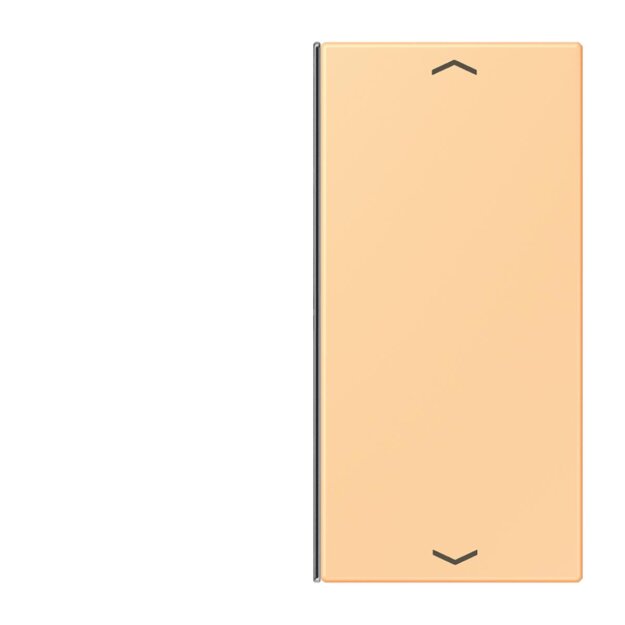 Jung LC402TSAP258 Taste 2-fach F40 LC4320P (Thermoplast) Terre Sienne Claire 59 Les Couleurs® Le Corbusier