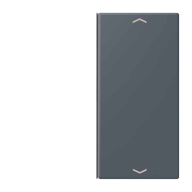 Jung LC402TSAP262 Taste 2-fach F40 LC4320U (Thermoplast) Gris Fonce 59 Les Couleurs® Le Corbusier