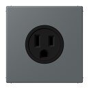 Jung LC521-15202 Steckdose US-Norm NEMA 15 A LC32010...