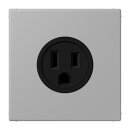 Jung LC521-15204 Steckdose US-Norm NEMA 15 A LC32012...